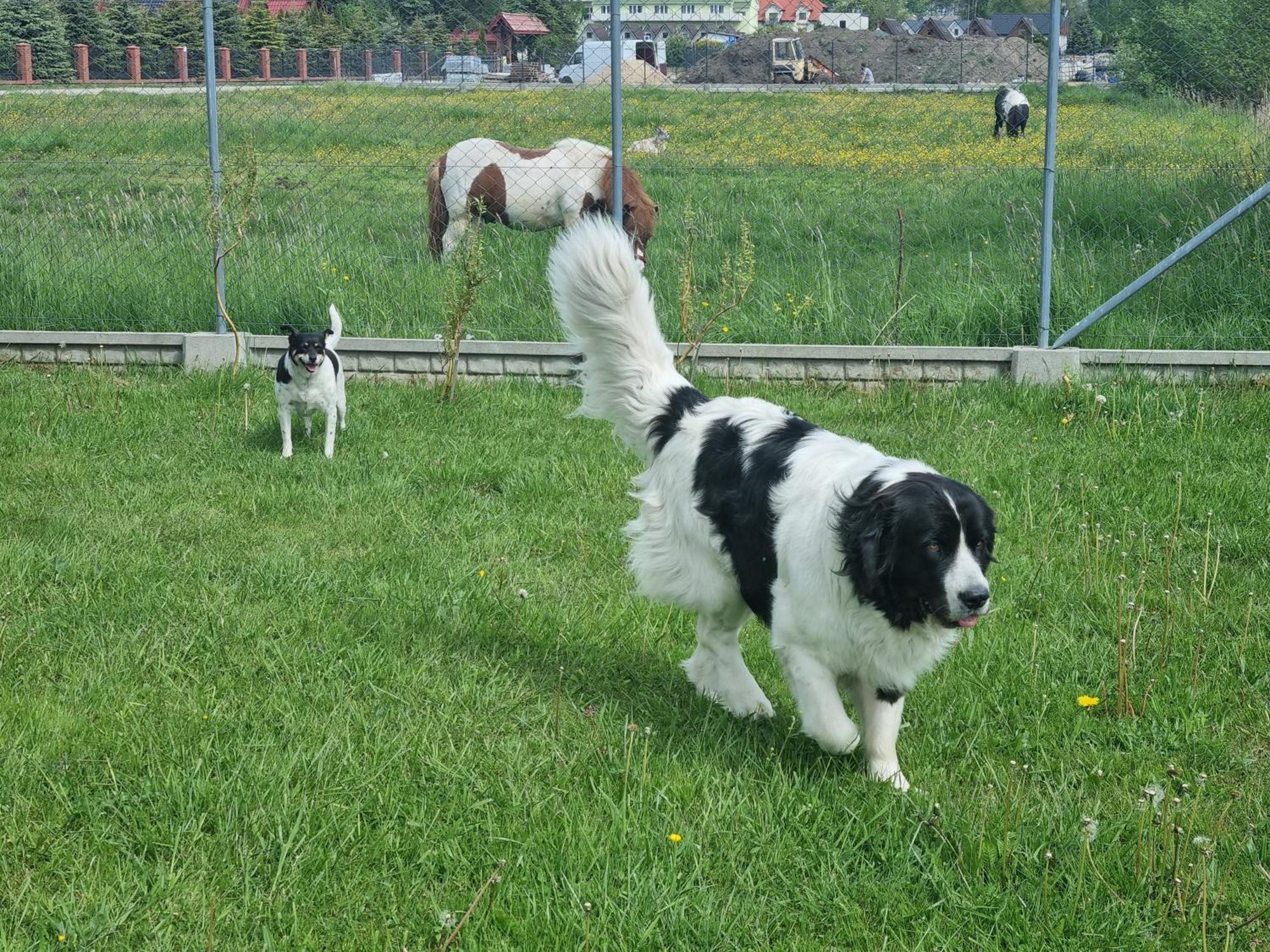 Appartamento Demeter Letniskowe W Sarbinowie *